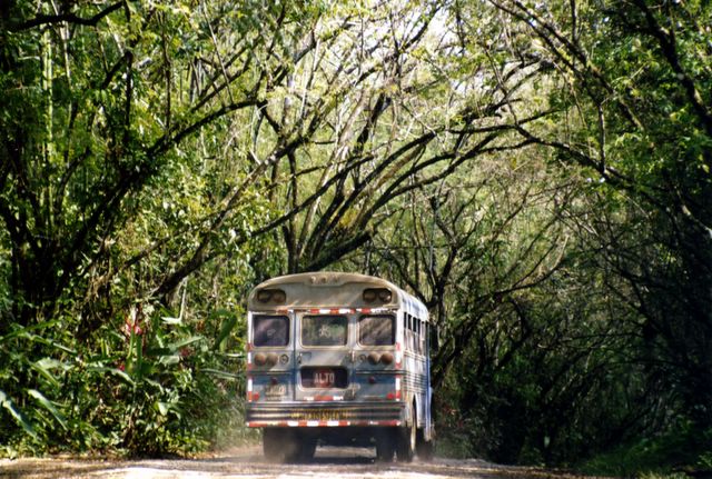 Cabo Matapalo