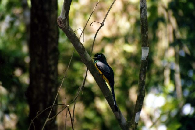 Costa Rica