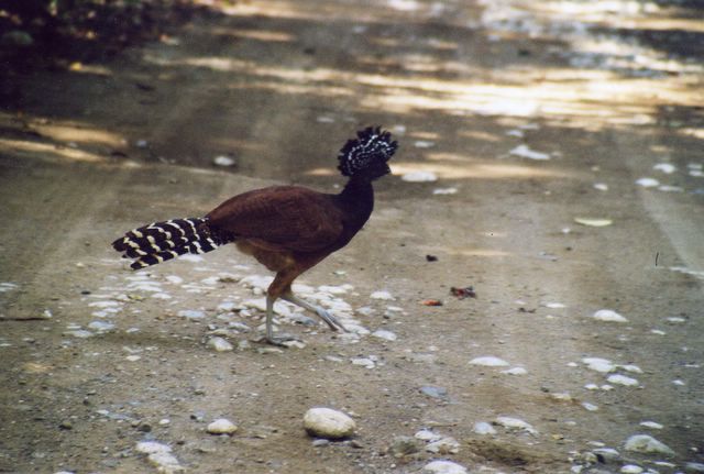 Costa Rica